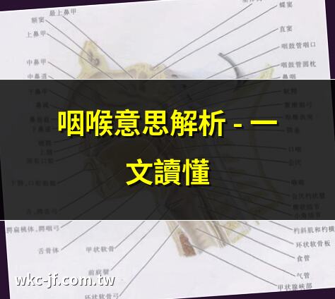 咽喉意思解析 – 一文讀懂 | 咽喉英文怎麼説? – 全部告訴你 | 咽喉炎全面指南 – 不可錯過 | 身體第一道防線 – 咽喉密碼