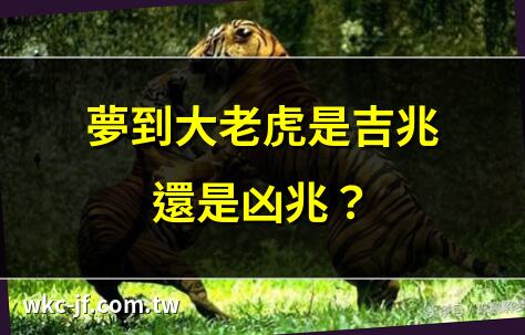 夢到大老虎是吉兆還是凶兆？ | 夢見大老虎預示什麼？ | 夢到大老虎的解夢全攻略 | 夢見大老虎要小心什麼？