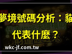 夢見貓號碼