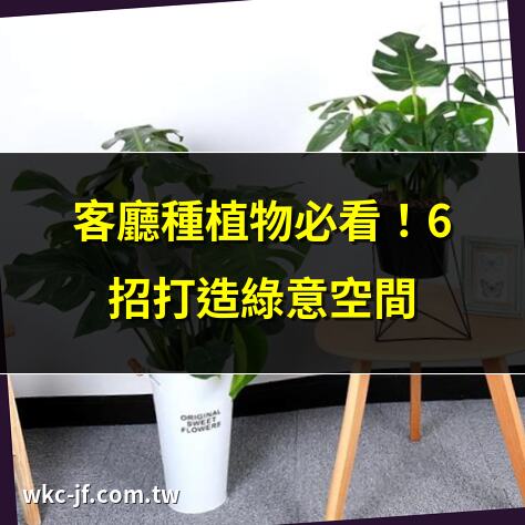 客廳種植物必看！6招打造綠意空間 | 2025年最新客廳植物推薦清單 | 客廳植物風水指南：招財又健康 | 客廳種植物的8大禁忌全解析