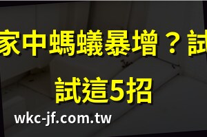 突然有很多螞蟻