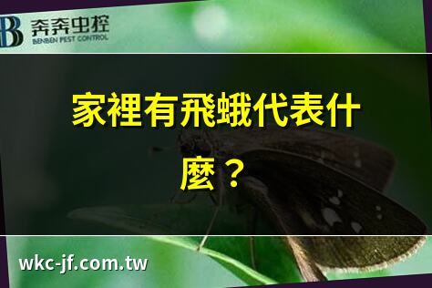 家裡有飛蛾代表什麼？ | 飛蛾入屋預示吉凶？ | 家中飛蛾的命理解讀 | 飛蛾進家：吉兆還是凶兆？