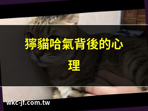 獰貓哈氣