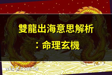 雙龍出海意思解析：命理玄機 | 八字命格：雙龍出海意思 | 雙龍出海命理解讀全攻略 | 揭秘雙龍出海的命理奧秘