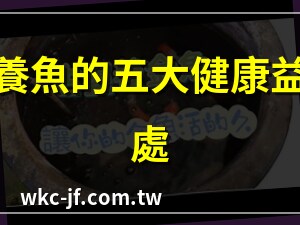 養魚的好處