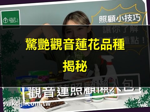 觀音蓮花品種