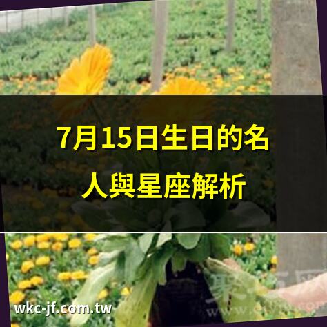 7月15日生日的名人與星座解析 | 7月15日生日性格：責任感與領導風範 | 7月15日出生的名人偉人全揭秘 | 7月15日生日足球巨星盤點